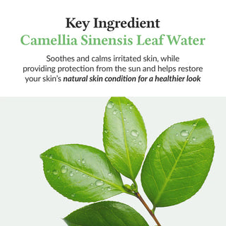DR. ALTHEA - Green Tea Fresh Sunscreen 45ml