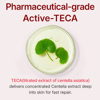CENTELLIAN24 - Madeca Cream Time Reverse  - 50ml