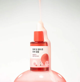 ROUND LAB - Camellia Deep Collagen Firming Ampoule - 30ml