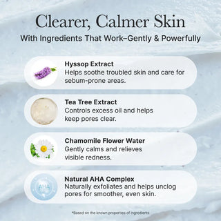 ARENCIA - Hyssop Sebum Control Rice Cake Cleanser - 150gr